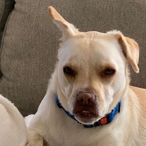 Meet your Posher, Ann